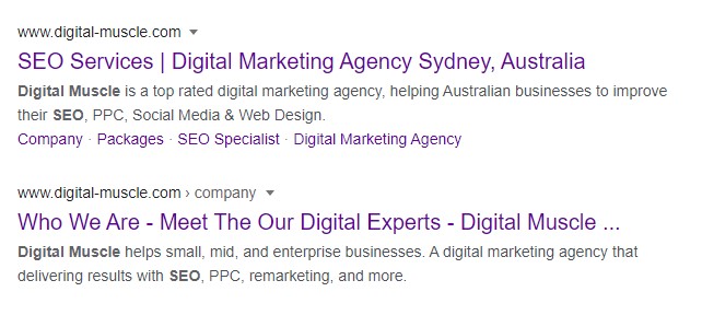 Digital Muscle SEO results